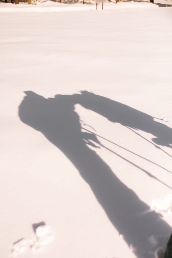 Shadow play with bride and groom kissing.