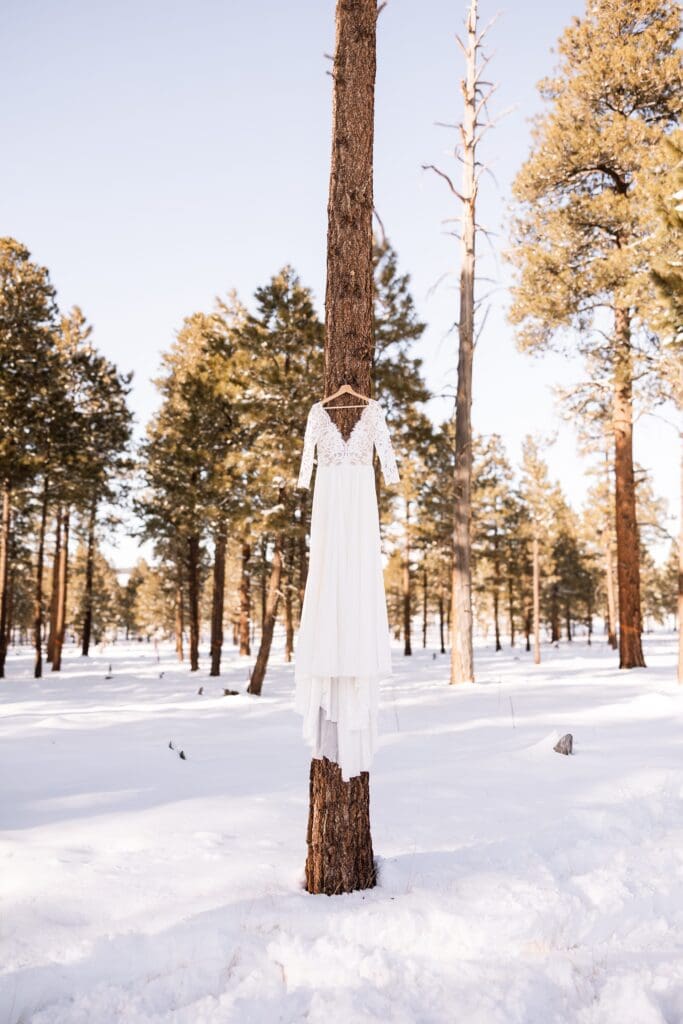 Detail photo of the brides wedding dress on a tall ponderosa pine tree.
